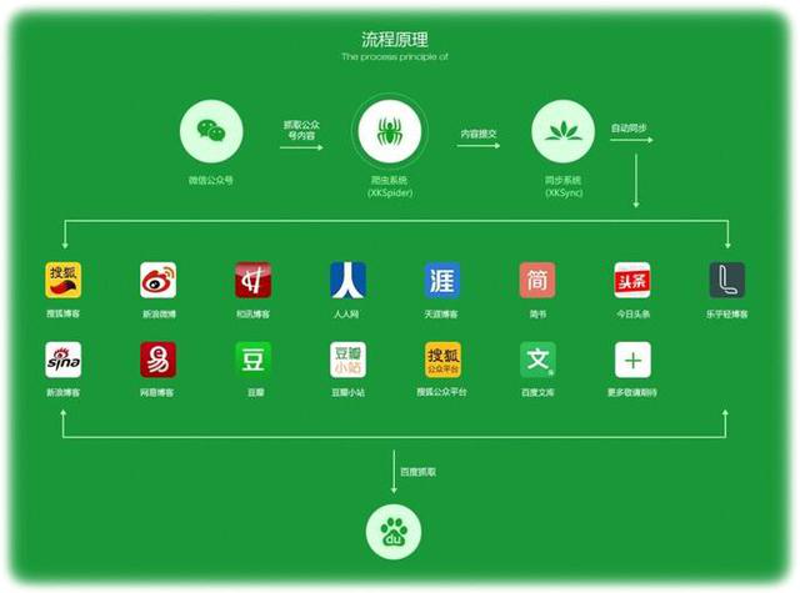 新媒体运营:在信息海洋中捕捞钻石